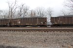 NS 10006